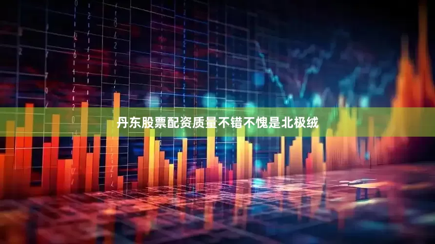 丹东股票配资质量不错不愧是北极绒