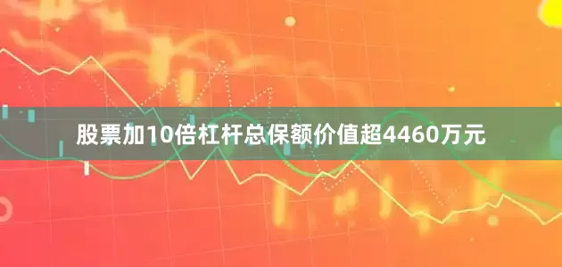 股票加10倍杠杆总保额价值超4460万元
