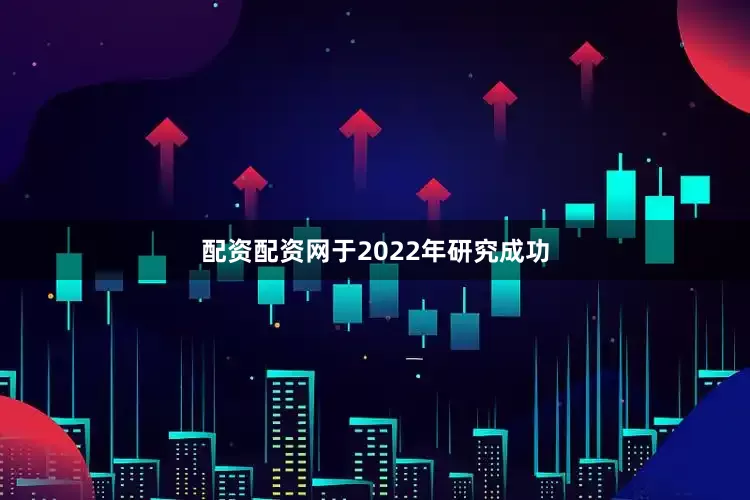 配资配资网于2022年研究成功