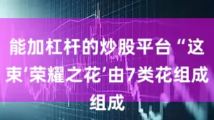 能加杠杆的炒股平台“这束‘荣耀之花’由7类花组成